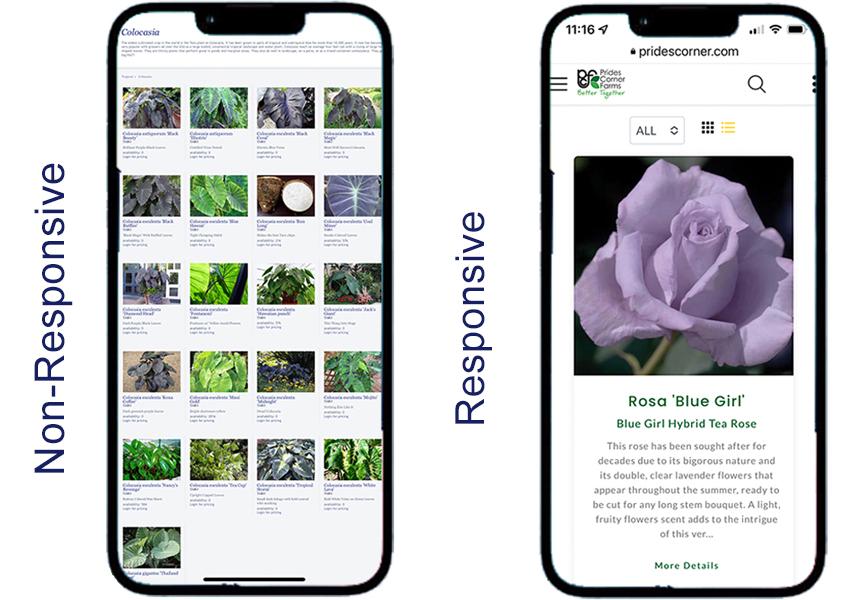 Non-Responsive websites 'squeeze' the content into the smaller screen sizes whereas Responsive Sites adjust the content automatically to be easily viewed on smaller screens.